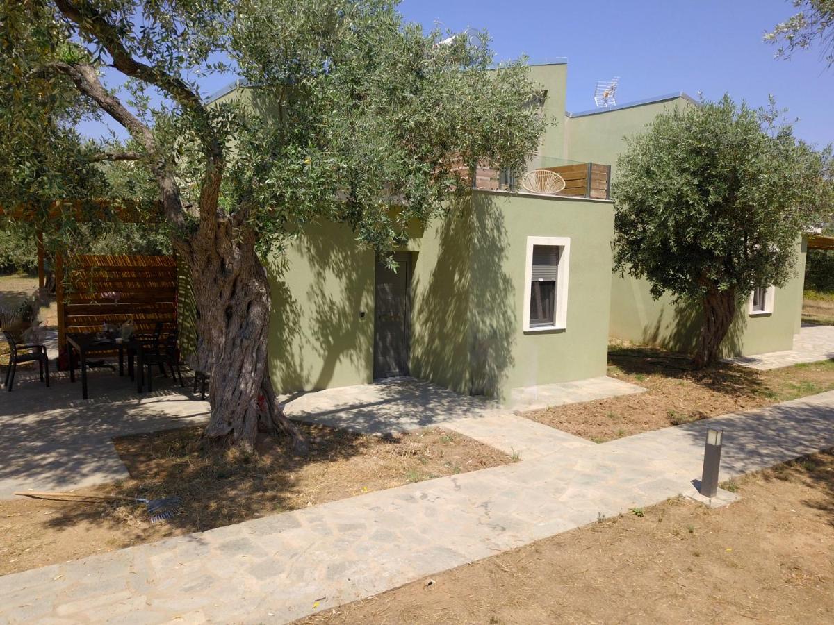 The Thassian Yard Houses - B&B