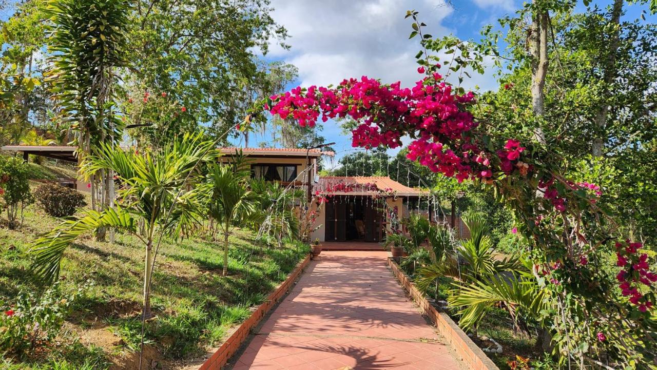 Finca Turística Marquesa Wellness - Hospedaje, Desayuno y Day Spa - B&B