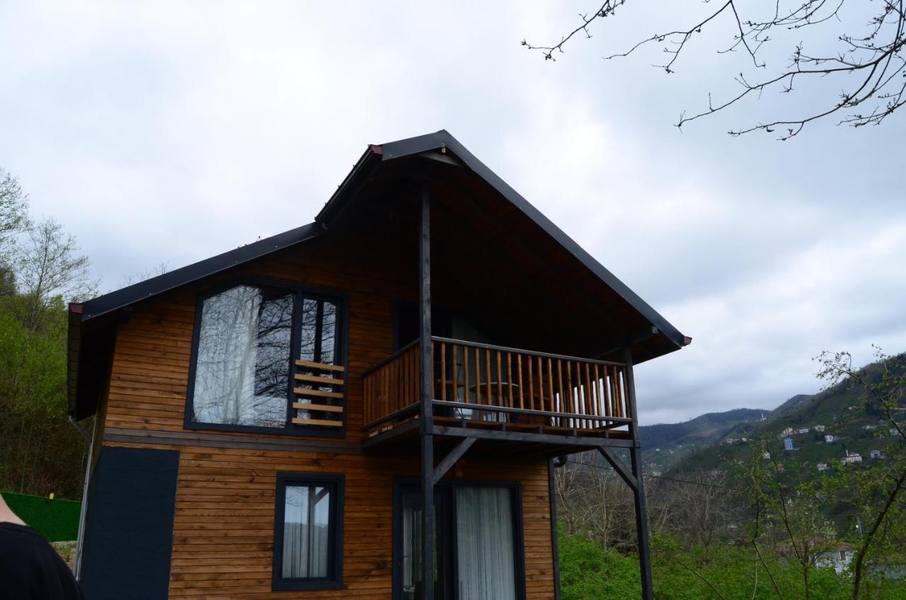Bigoşa Bungalov - B&B