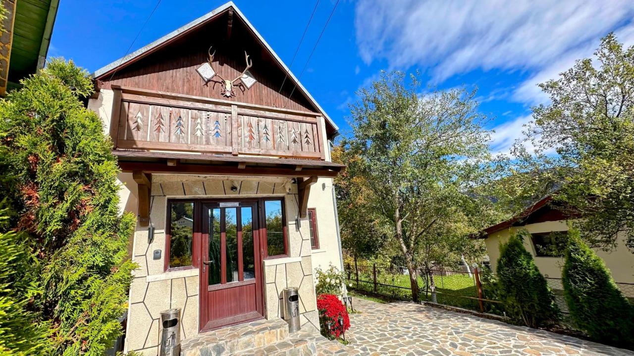 Bucegi View - B&B