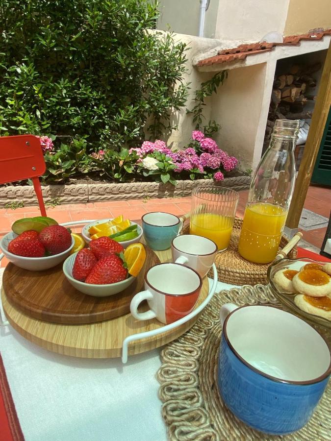 Le Petit Jardin Center Florence - B&B Florence