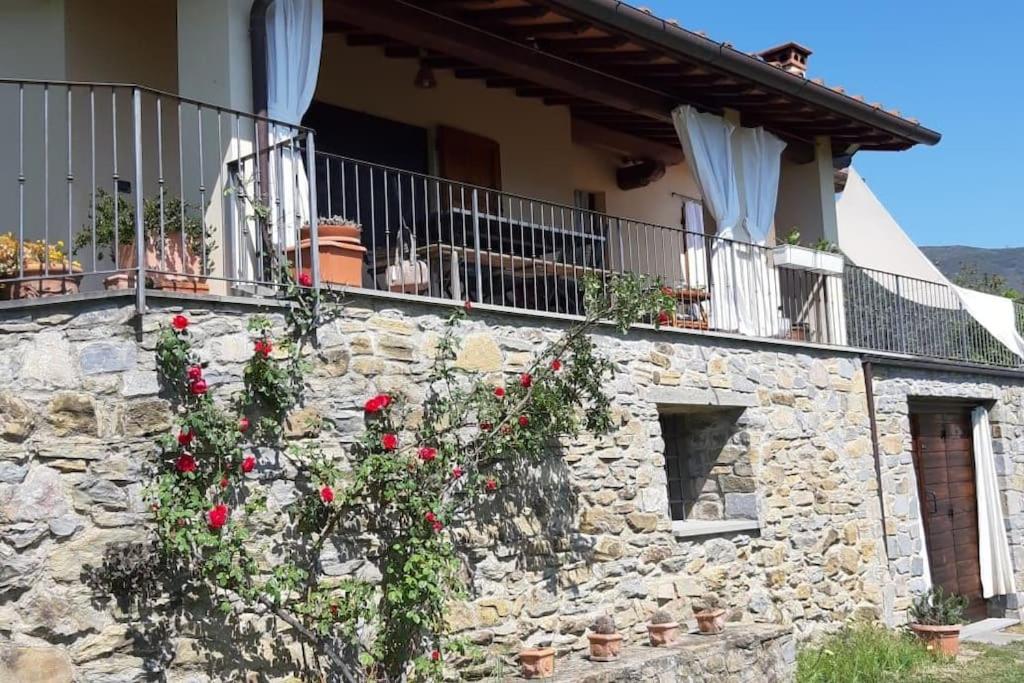 Casa Benucci Oliveta Tuscany - B&B