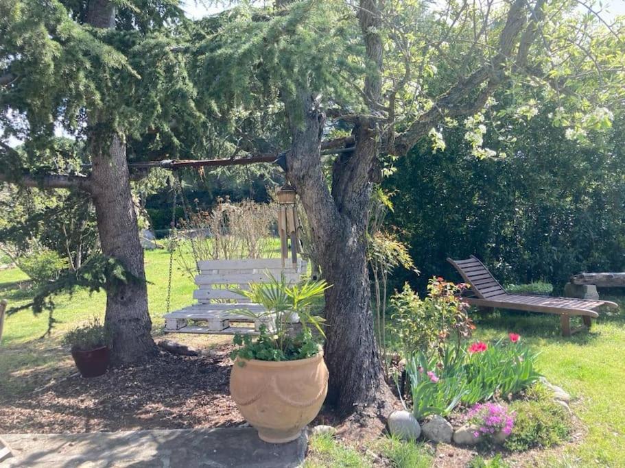 ChezMathilde à LIMOUX - B&B
