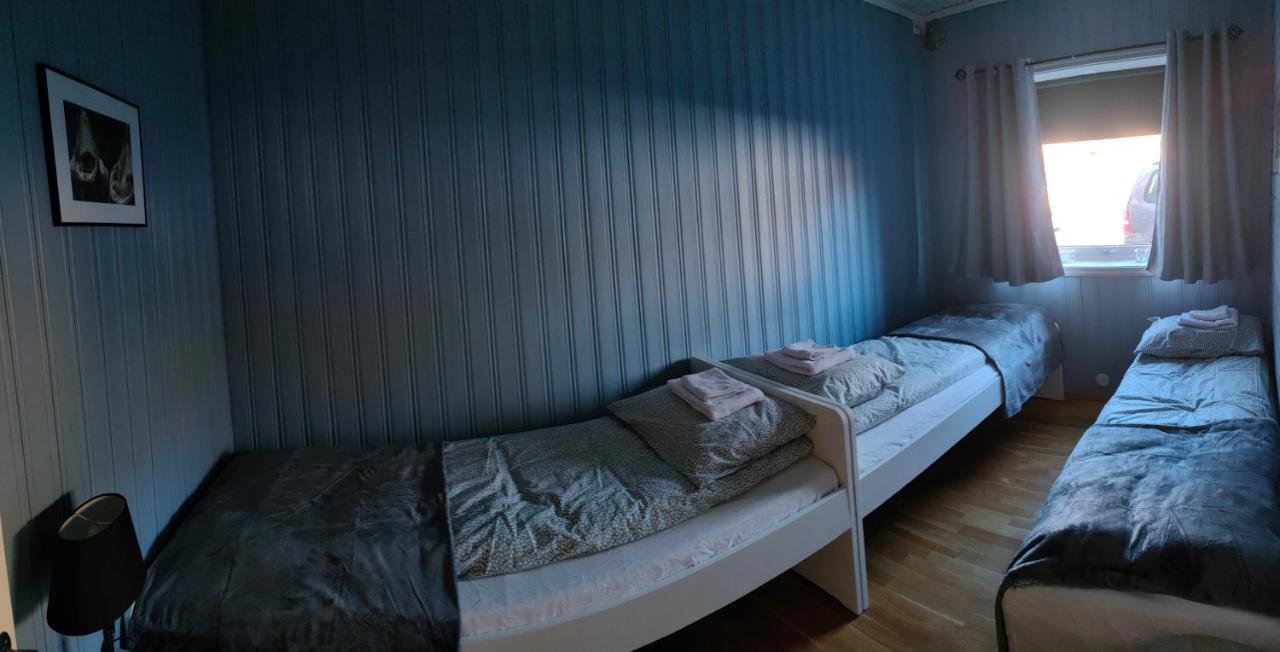Northern Dream Lofoten - Bed and Breakfast Hovdan