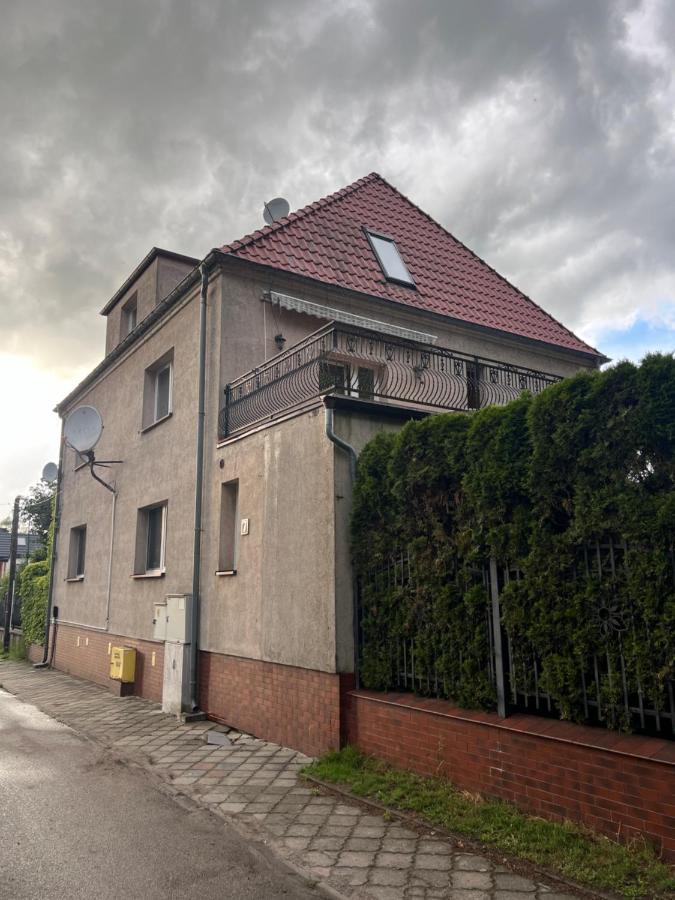 Apartament Park Lębork - B&B