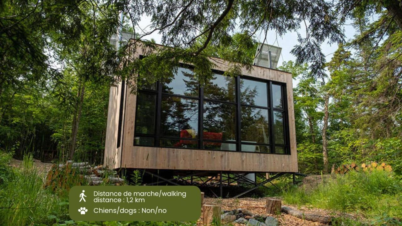 Cabin Zoobox 87 - Bed and Breakfast Eastman