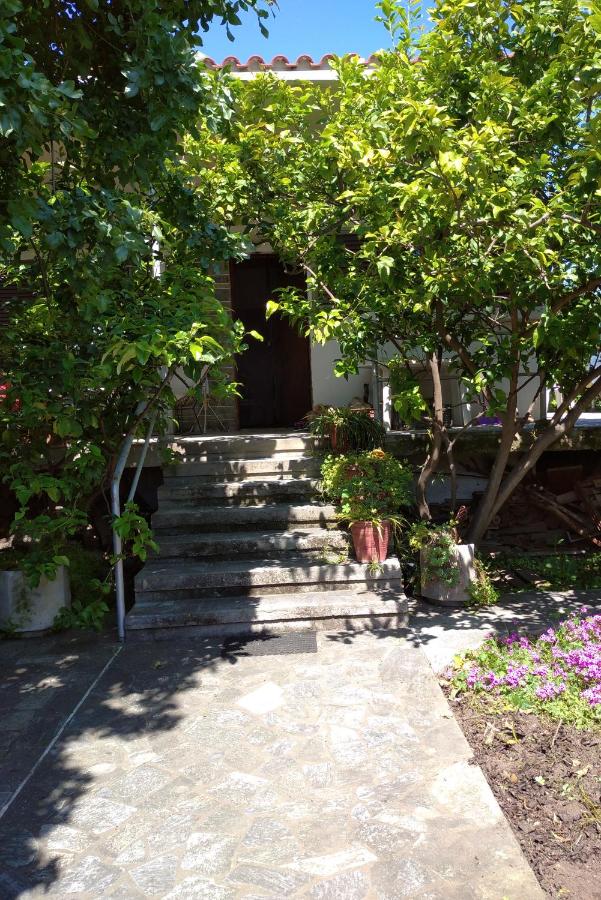 The Lemon House by The Sea - B&B