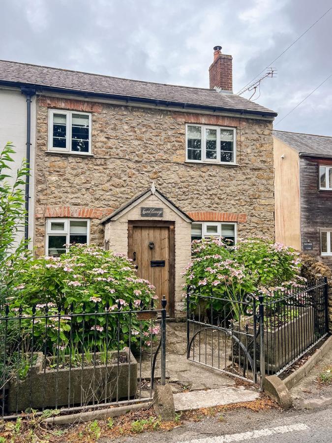 Laurel cottage Melplash - Bed and Breakfast