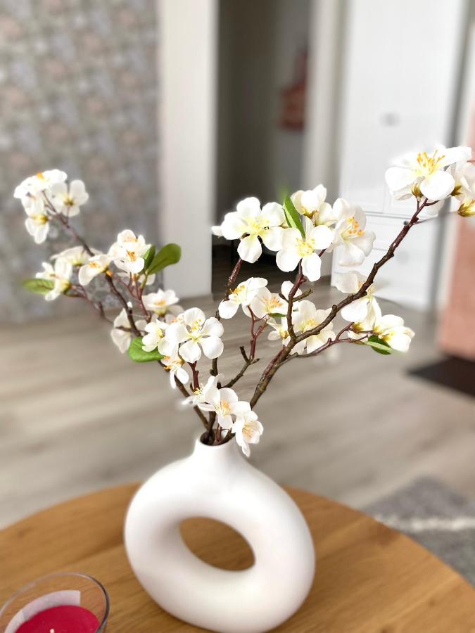 Hubane külaliskorter Pärnus - B&B
