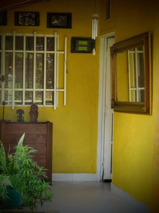 Magic House In The Magic Woodland - Envigado Medellin - B&B Envigado