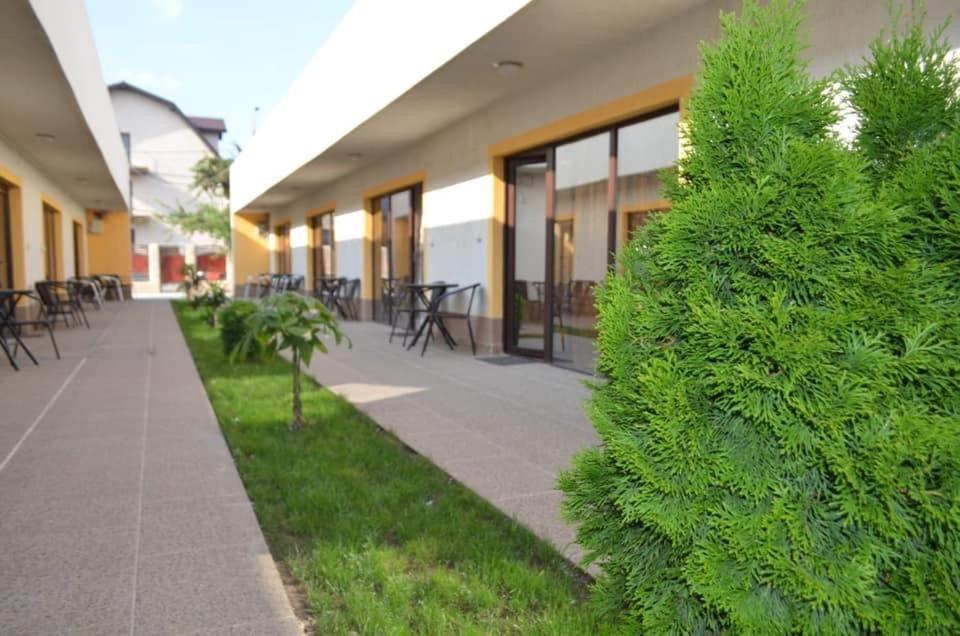 Pensiunea Savas - B&B