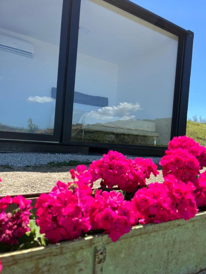 Tiny House Respiro Glamping - B&B Cesena