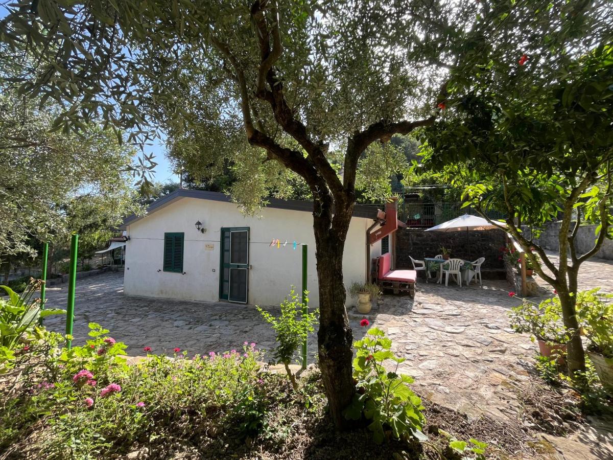 Haus mit 1 Schlafzimmer