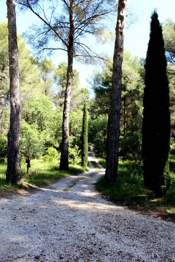 Villa Des oliviers - Bed and Breakfast