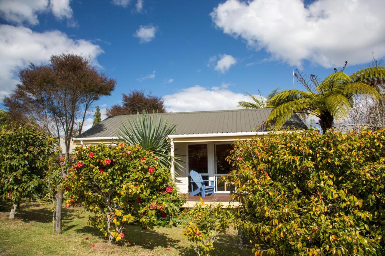 Tatahi Lodge Beach Resort - Ferienwohnung Hahei
