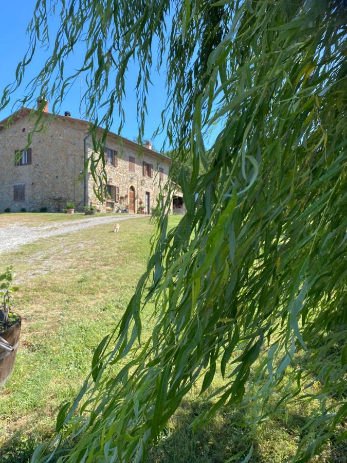 B&B Poderone - Chambres d'hôtes Querceto
