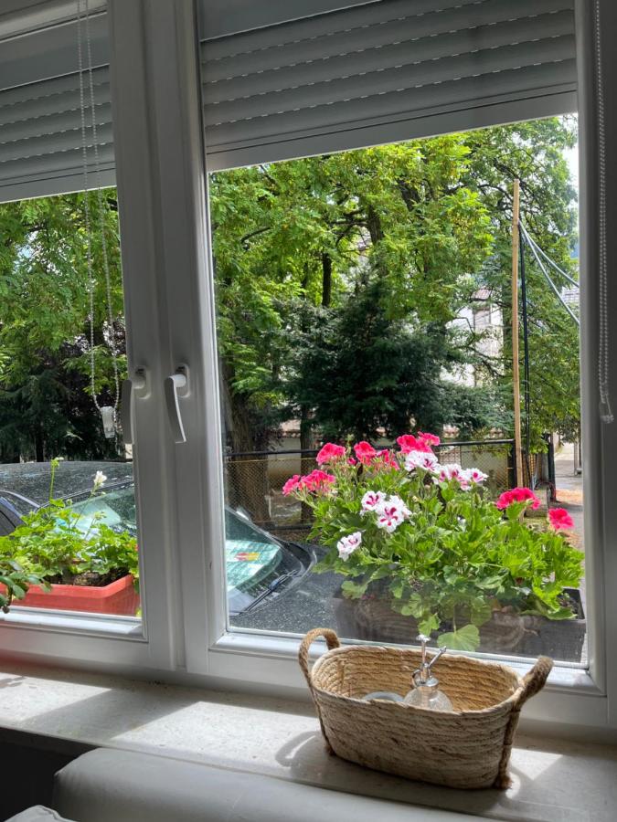 Luksuzni stan u Starom Gradu - Ferienwohnung