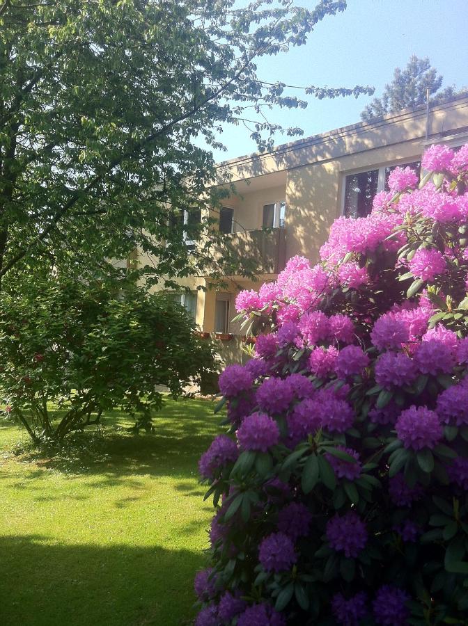Nett in Mettmann - B&B