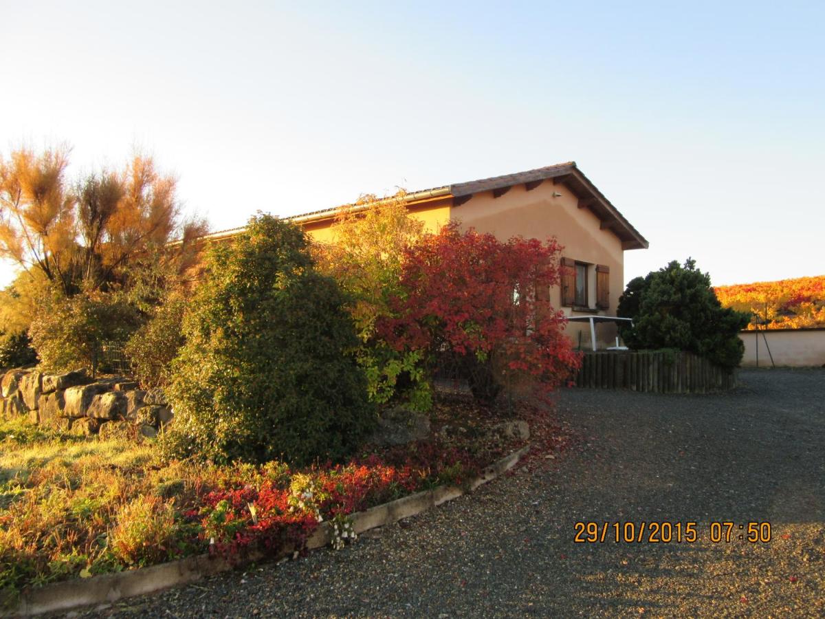 Domaine du Barvy - B&B Odenas
