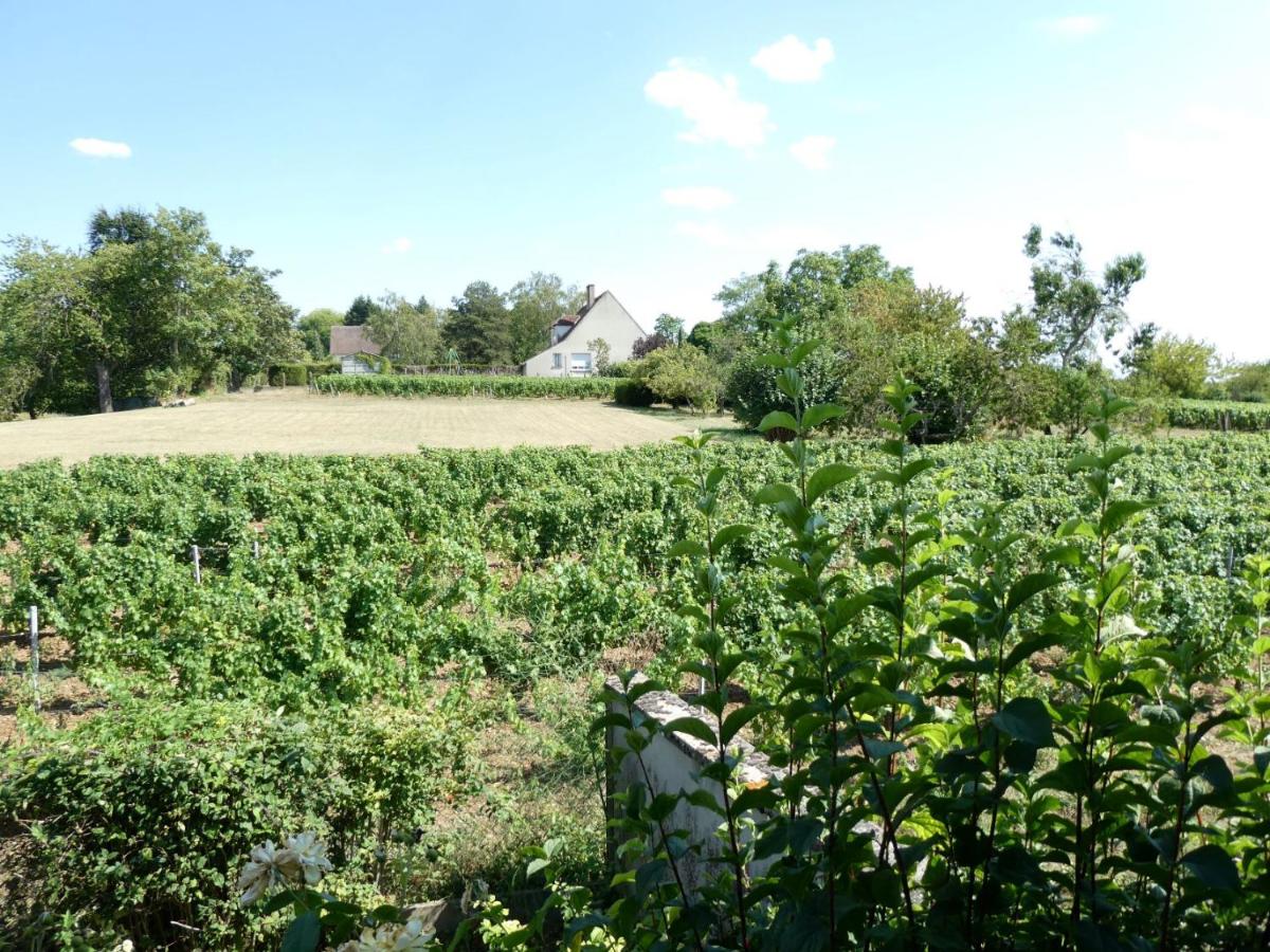 Chez voisine - entre la Loire et le vignoble - Chambres d’hôtes