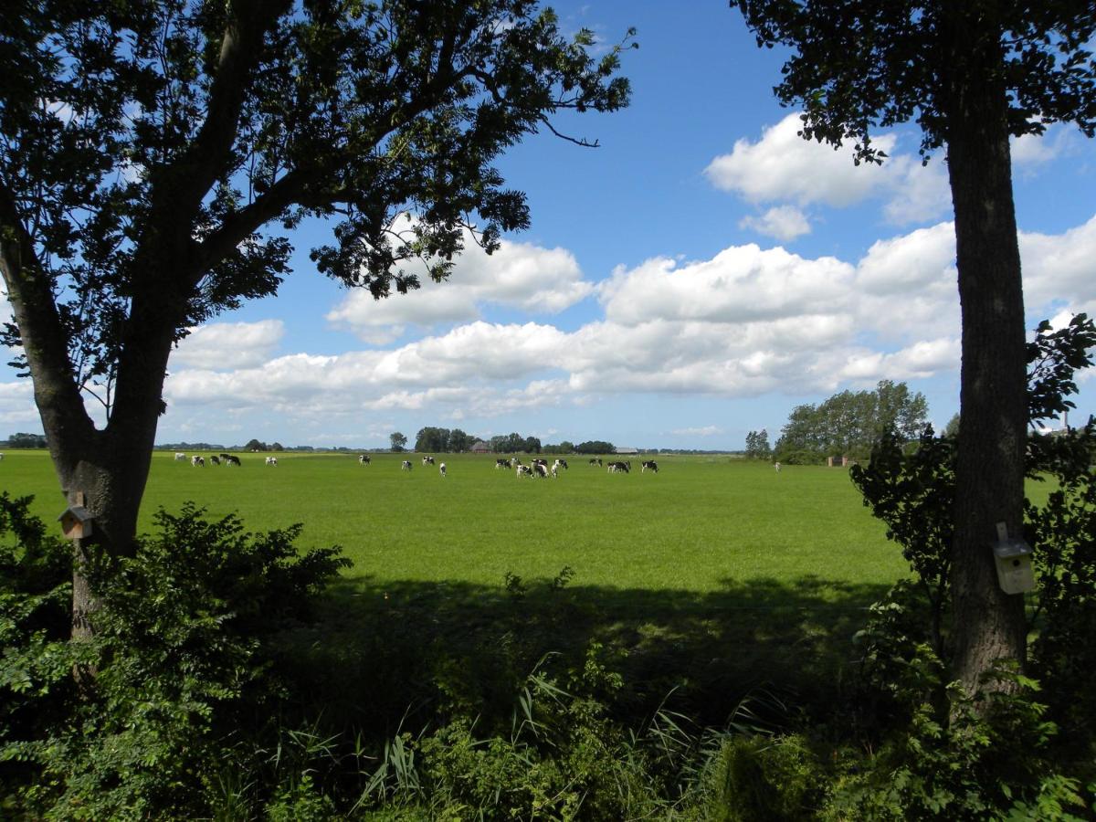 B&b Hoogholtje - Ferienwohnung
