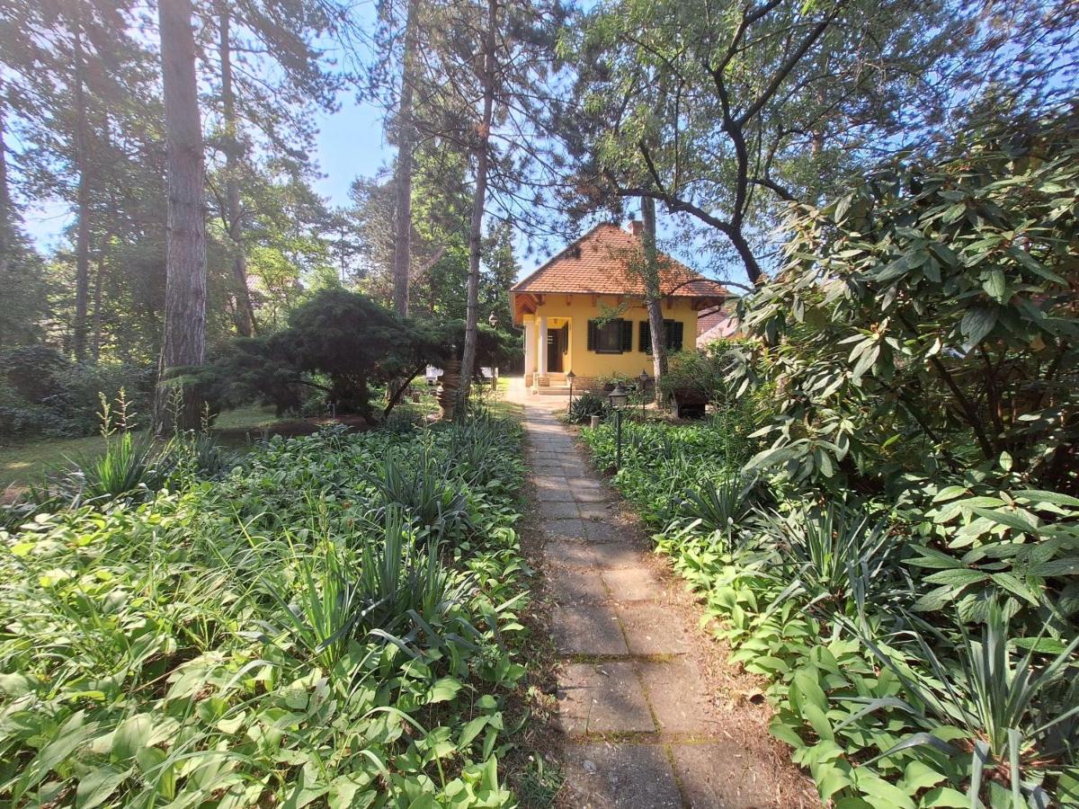 Vécsey Villa - Bed and Breakfast Zamárdi