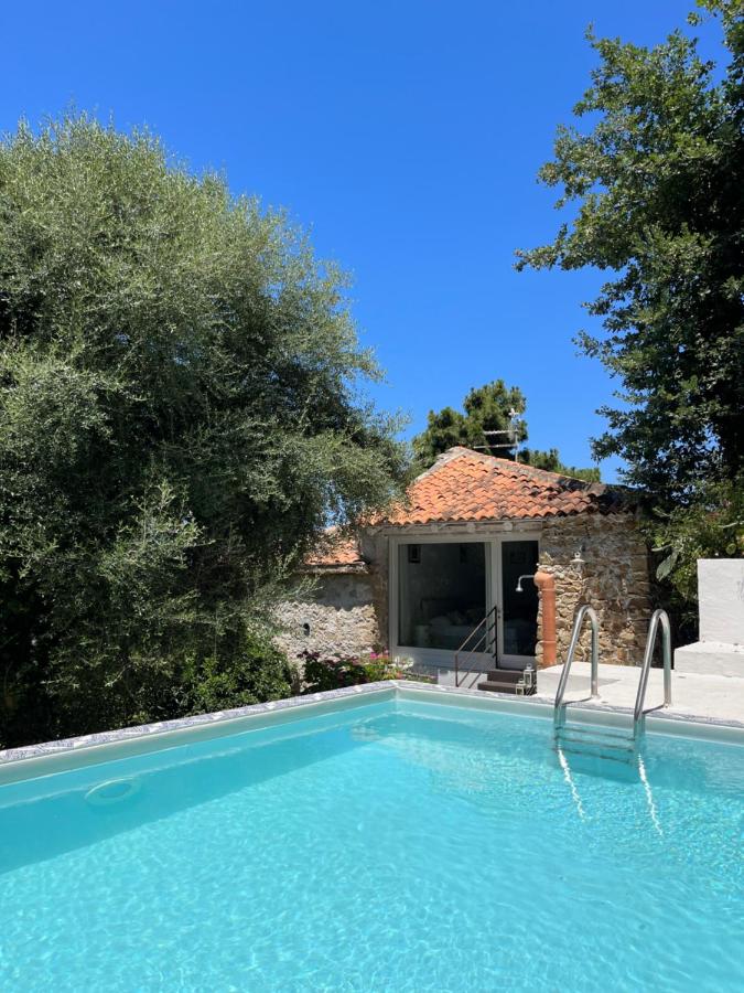 King Room with Pool View