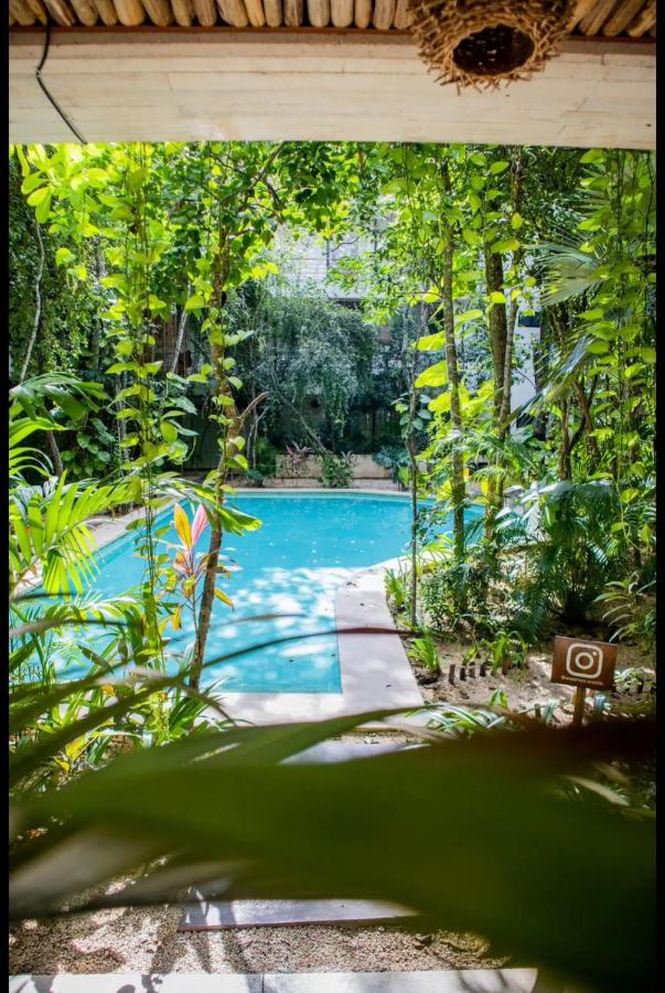 Refugio Armonía con Piscina Privada - Harmony Retreat with Private Pool - B&B