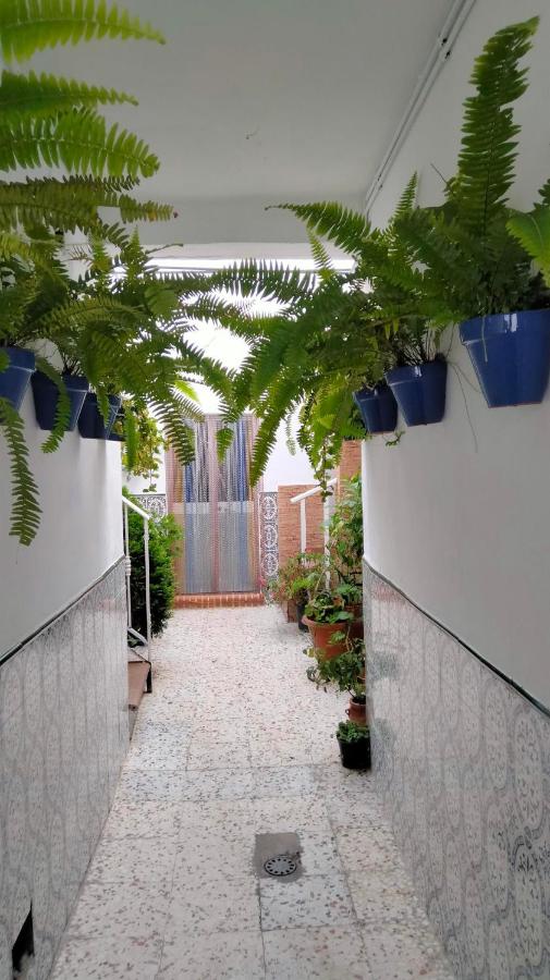 Apartamento Conil, céntrico y cerca de la playa - Ferienwohnung