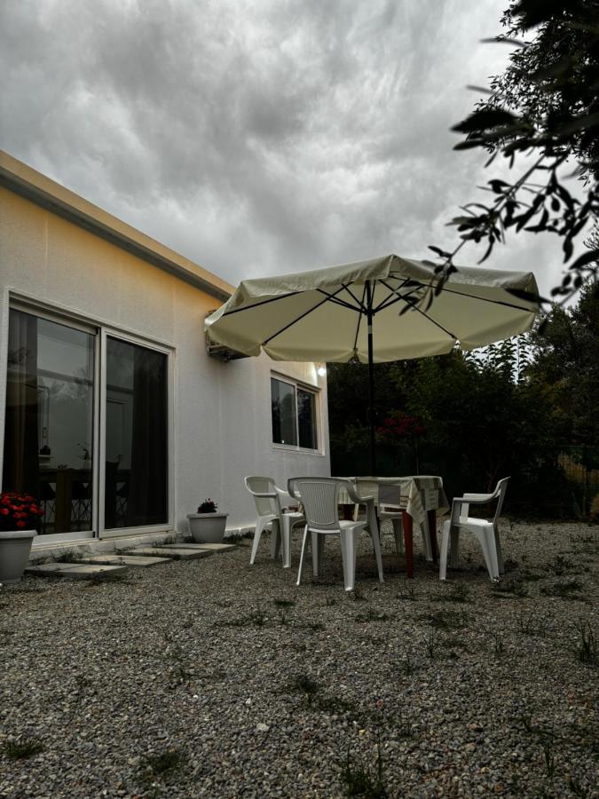 Stella's Olive Tree House - B&B Adelianós Kámpos