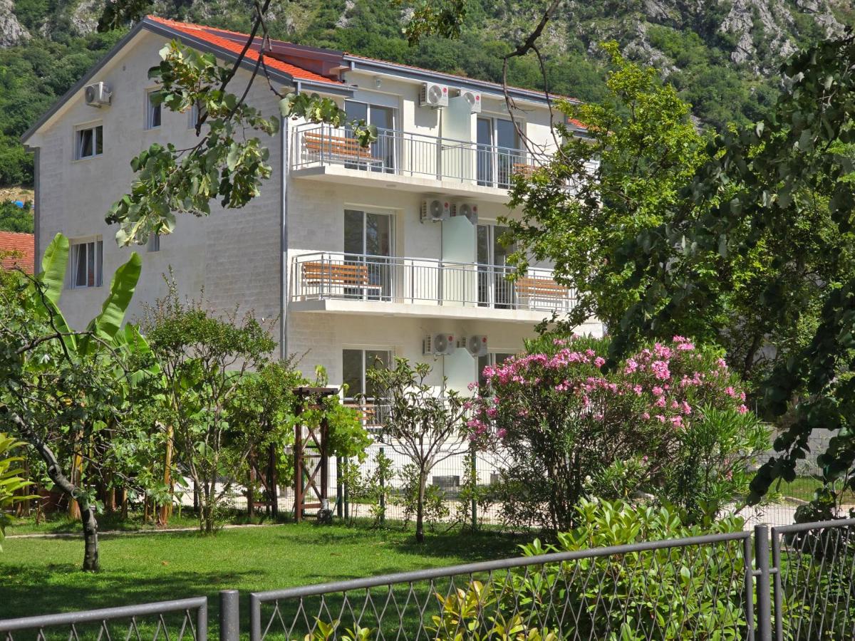 Villa BOJANA AS Aparments Risan - B&B