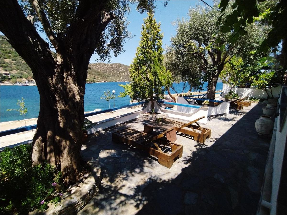 Amfithea Seaview apartment - Chambres d'hôtes Tríkeri