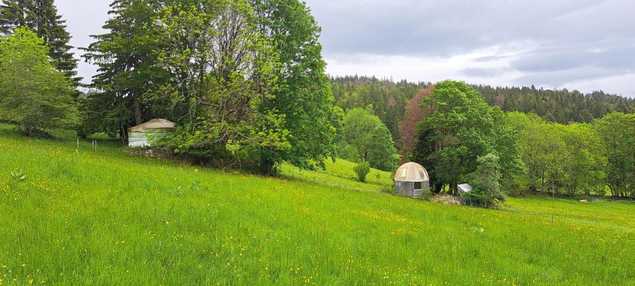 Tenda