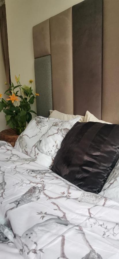 Green Apartament Żoliborz - B&B Varsavia