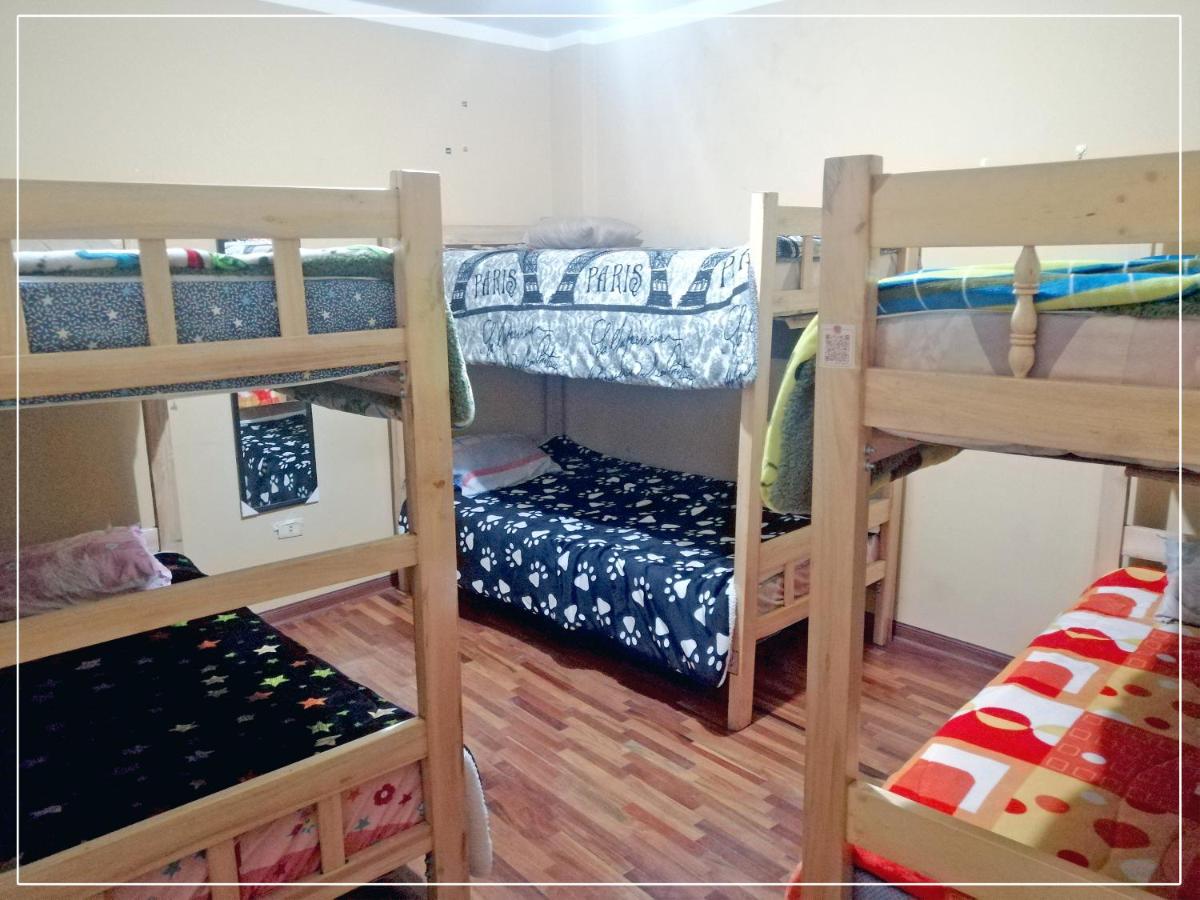 Bunk Bed in Mixed Dormitory Room