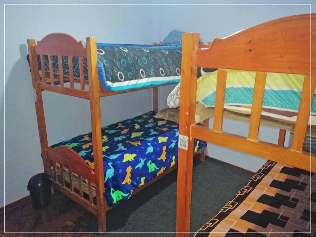 Bunk Bed in Mixed Dormitory Room