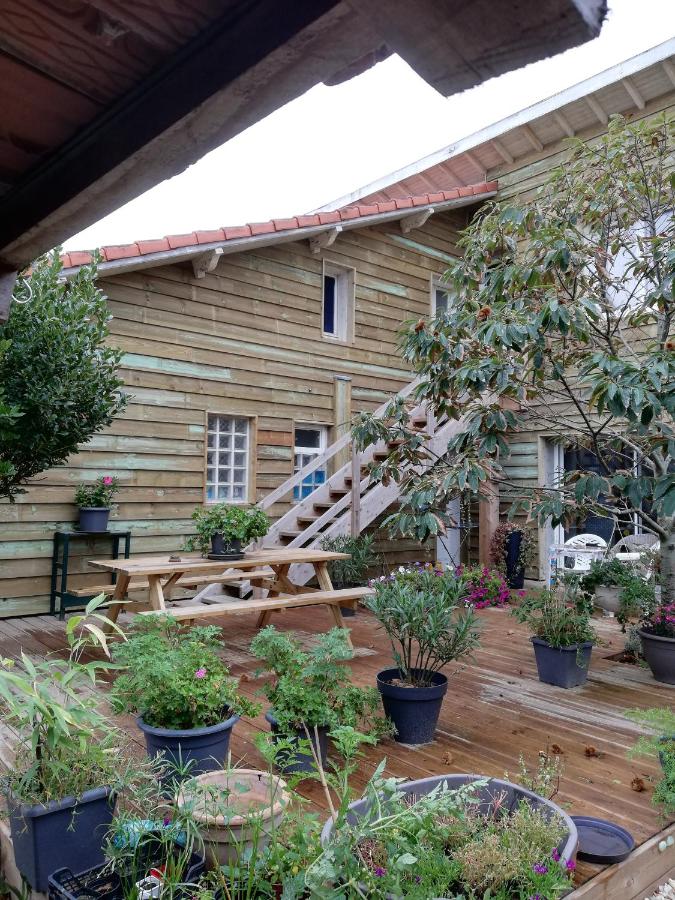 Maison Sophie - B&B