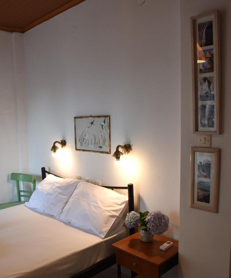 Twin Room with Garden View