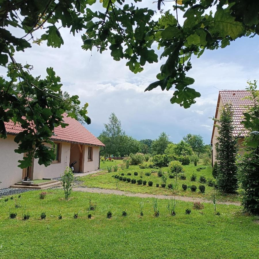 Apartmán Karhule (pod Blaníkem) - Chambres d'hôtes Pravonín