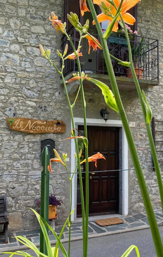 Il Nocciolo - B&B