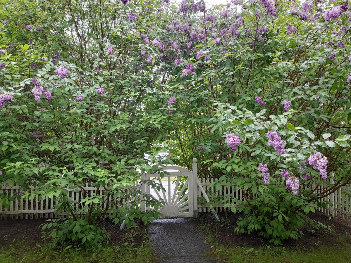 Ihana rivitalohuoneisto tarjolla - B&B Rovaniemi