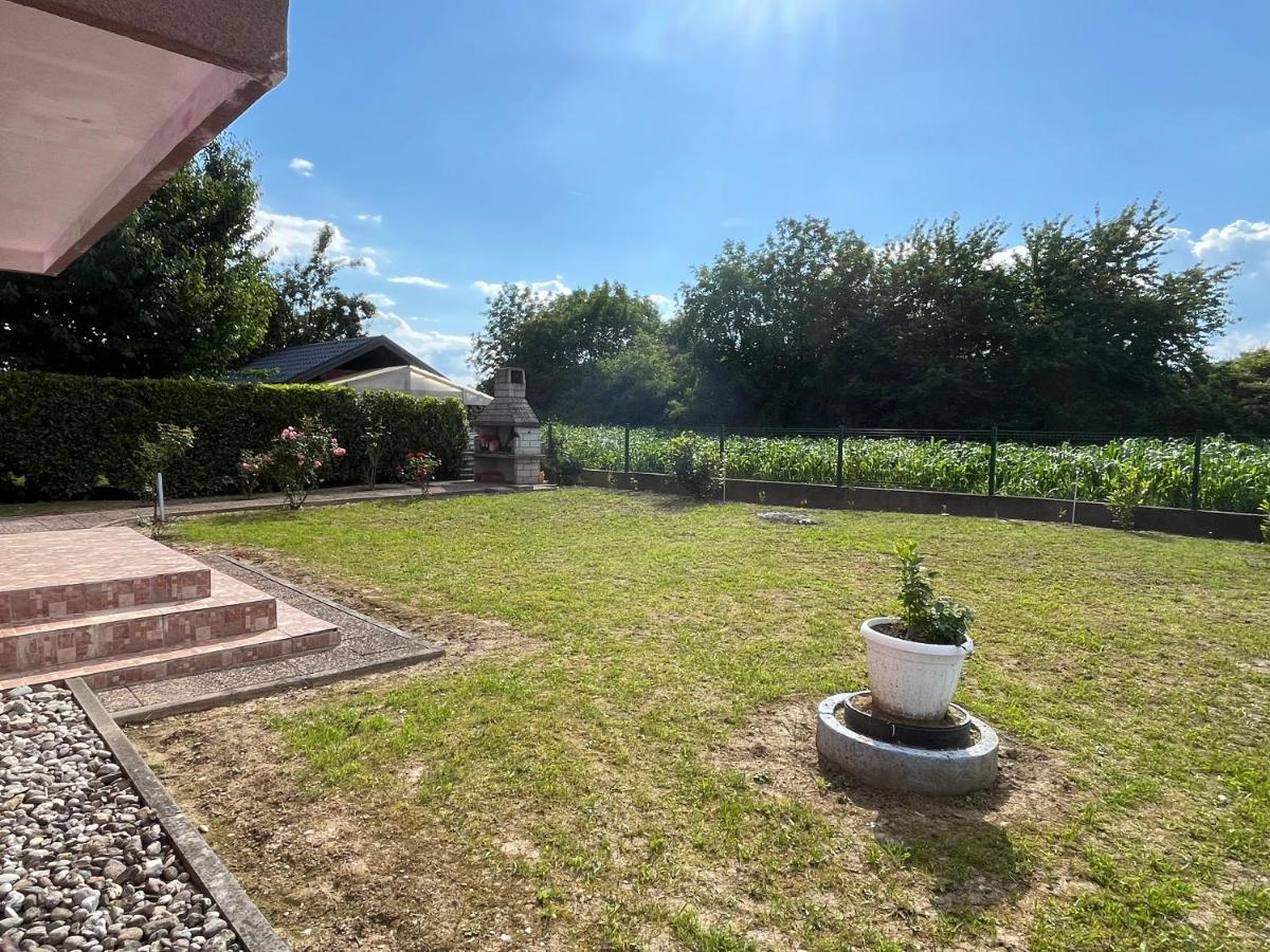 Grande Maison Contemporaine - B&B