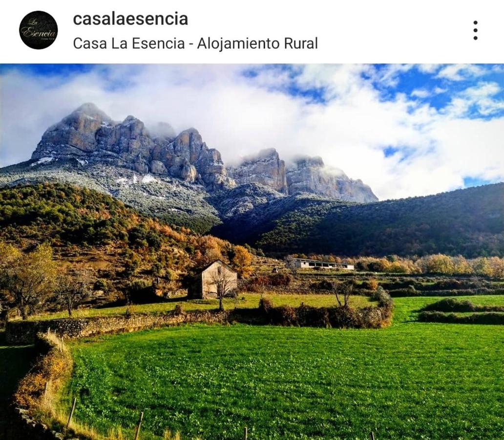 La Bodega de Casa La Esencia - B&B