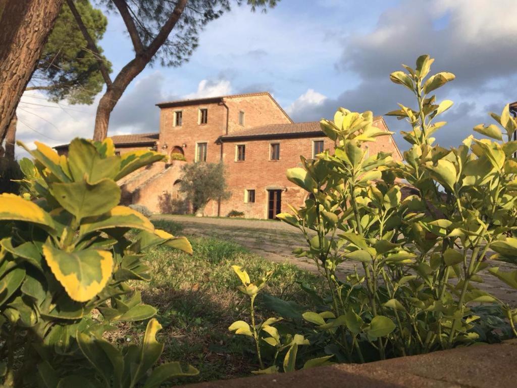 Podere La Ceppa1 - B&B Sinalunga