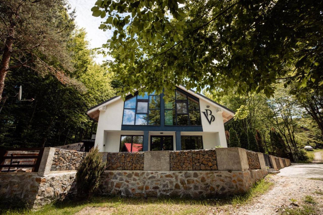 Vila Blanc Valiug Crivaia - B&B Văliug