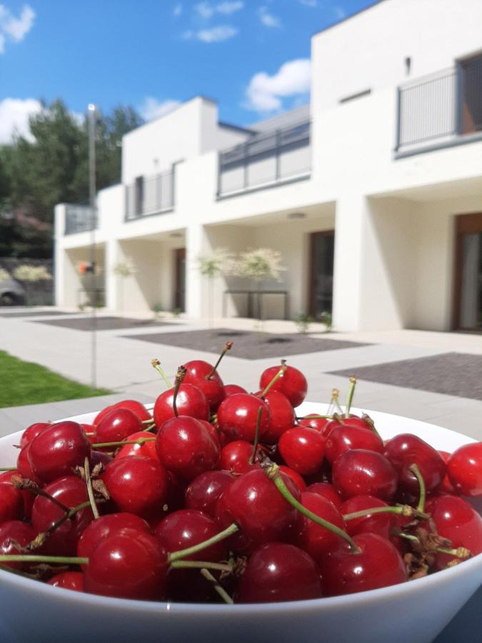 Skorzęcin Pachnie Miętą - B&B