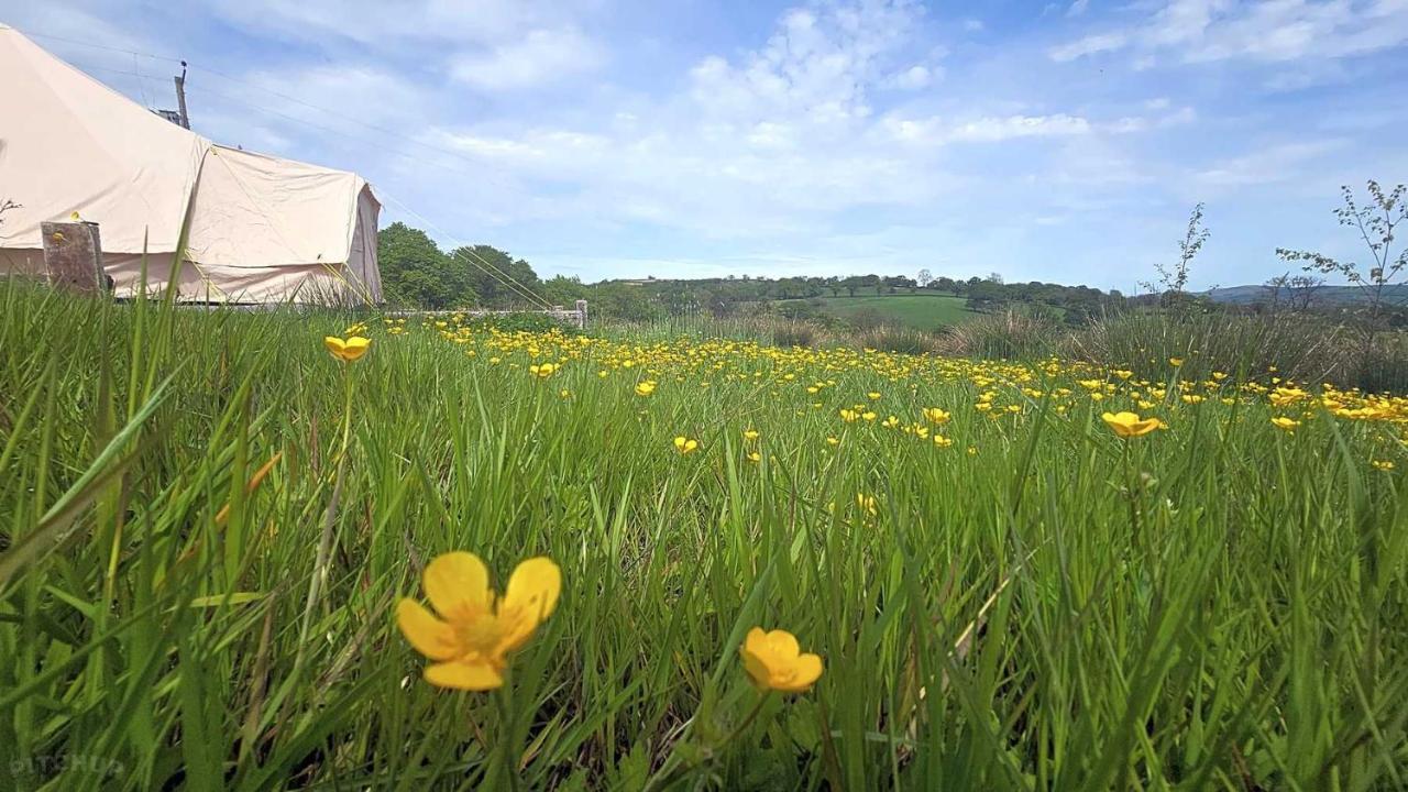 Welsh hilltop escape - B&B