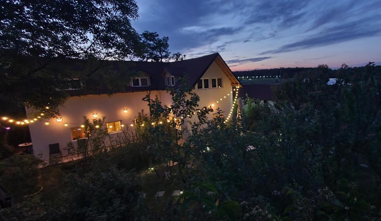 Forest Inn - B&B Izvorani