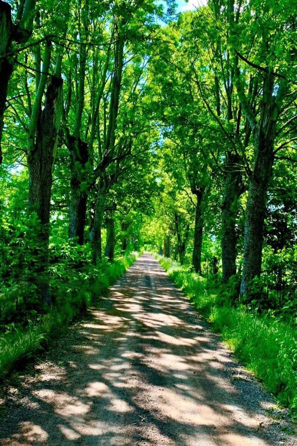 Mossebo Gästhem - Bed and Breakfast Vimmerby