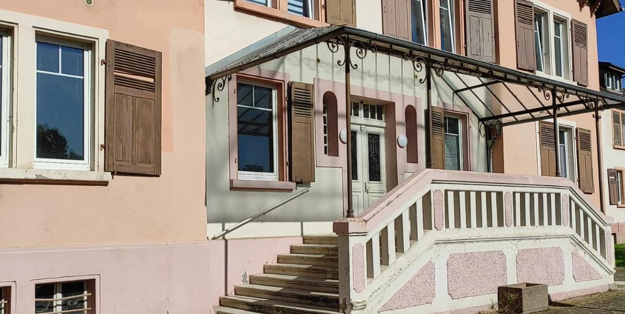 La Suite Barberousse - Éclats Bleus et Dorés - B&B